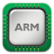 ARM Projects